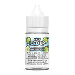 ICED UP SALT NIC